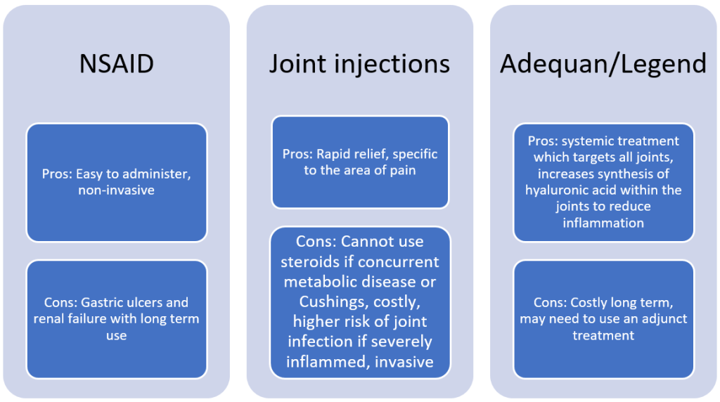Alternatives for treating arthritis in older horses Daniel Equine